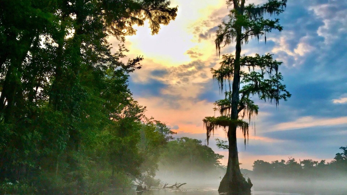 Crawfordville House | Wakulla River Retreat - a nature lover’s paradise