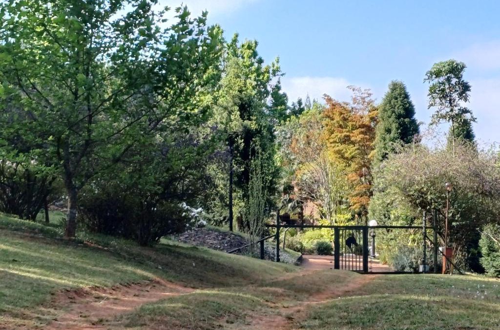 Haenertsburg Apartment | Wald Ecke