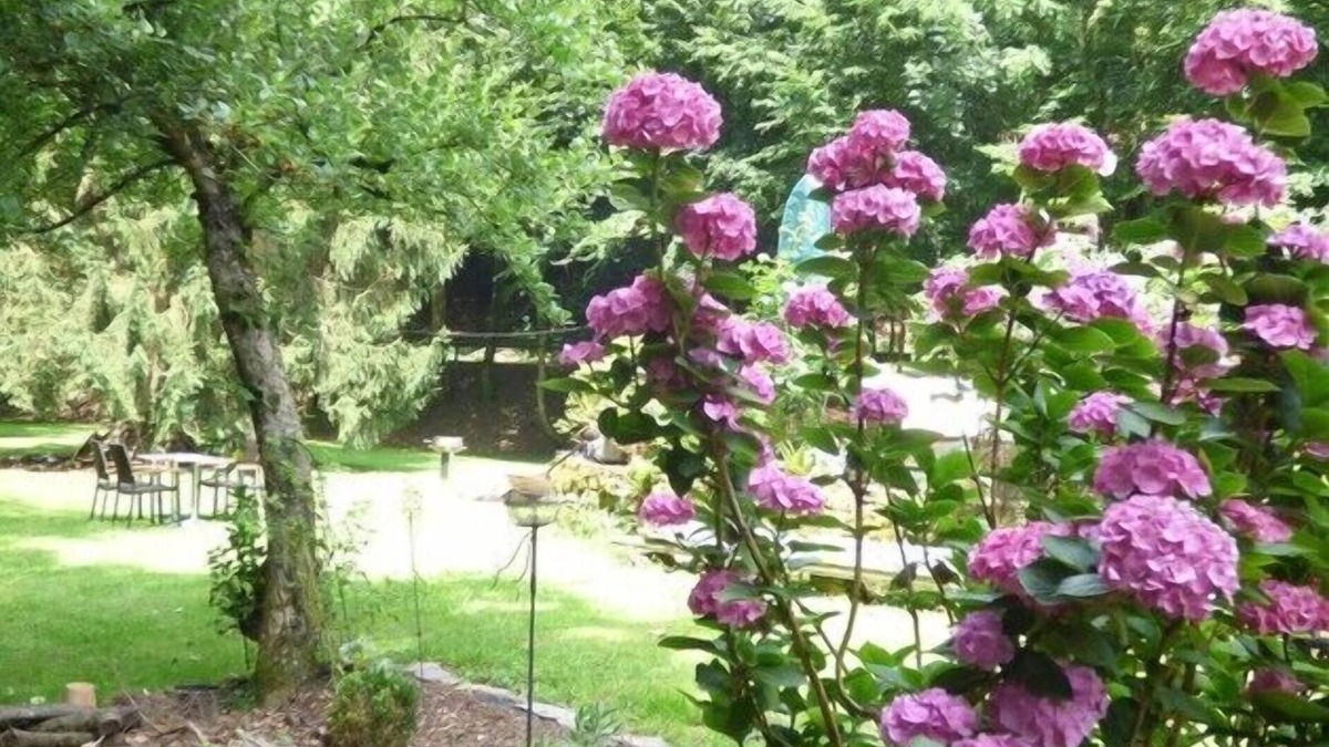 Alf Apartment | Wald Villa Üssbach