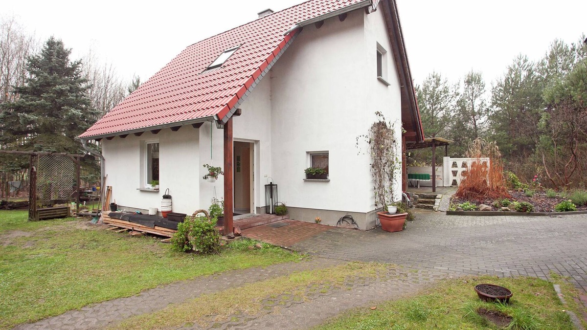 Schmogrow House | Waldblick Forest Retreat