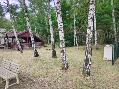 Brody Other | Waldcamp Hundeparadies