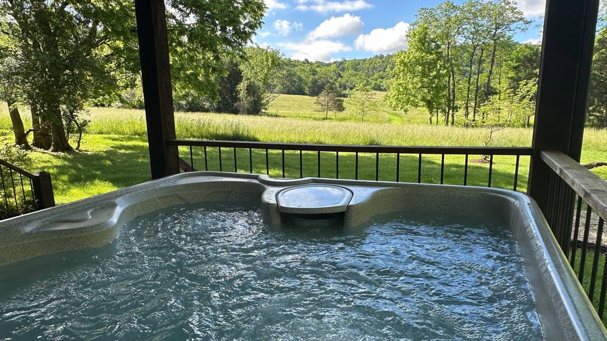 Rileyville Cabin | "Walden" Modern Cabin on 54 Riverfront Acres along Shenandoah River w/Hot Tub
