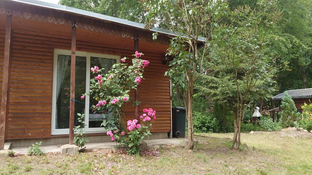 Zichtau House | Waldhaus Halvor