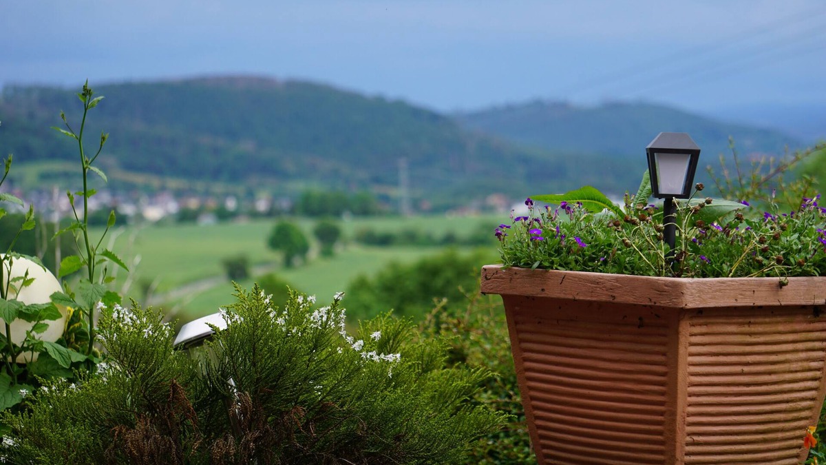 Frankenblick Hotel | Waldhotel Weitblick