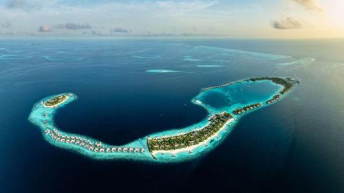 Ithaafushi Resort | Waldorf Astoria Maldives Ithaafushi