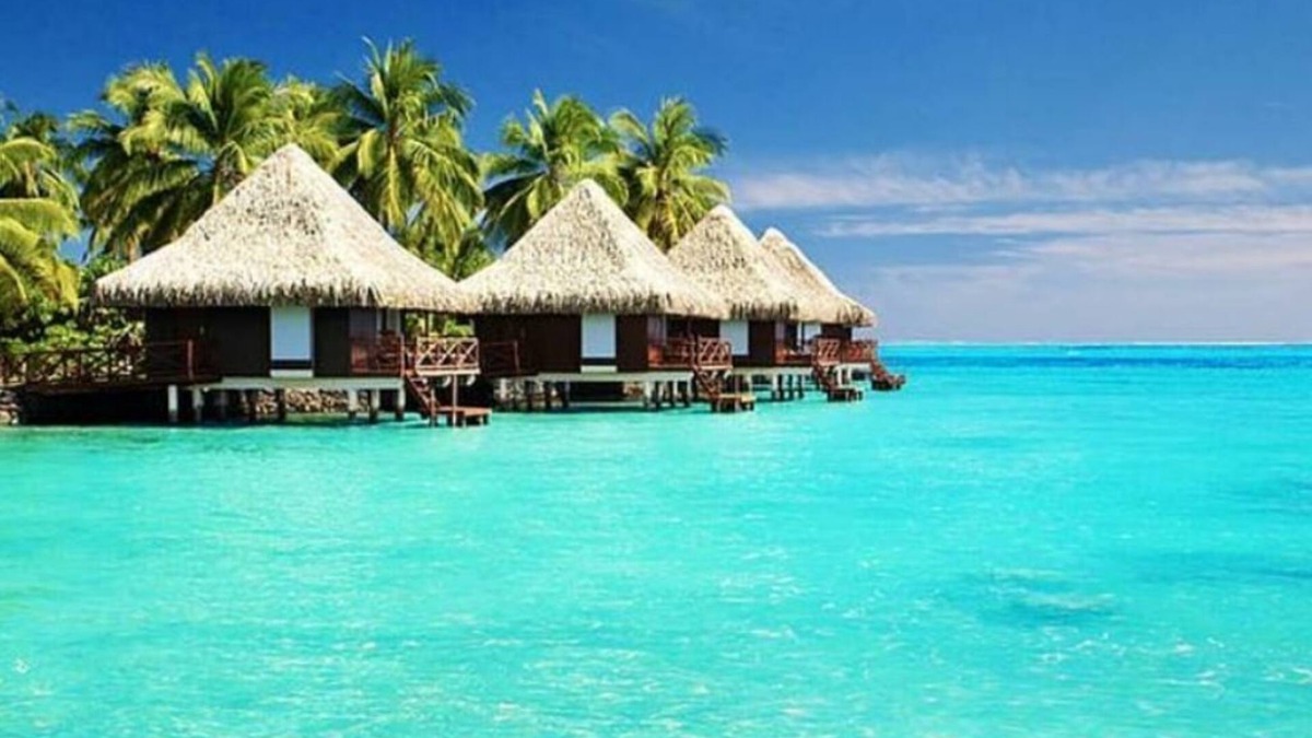 Waldorf House | Waldorf! Stay in style! Relax in style! Enjoy More!