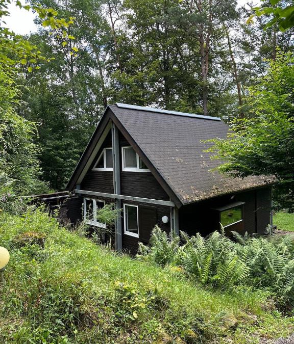 Elmstein House | Waldparadies mit allem was Sie brauchen
