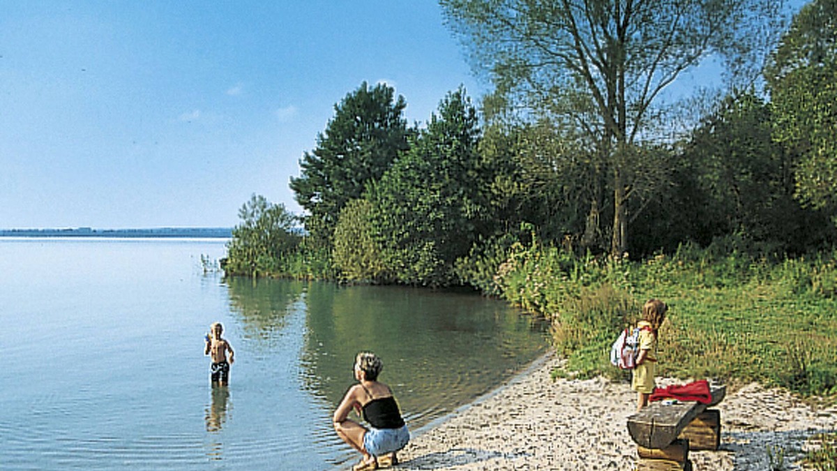 Dobin am See House | Waldsiedlung by Interhome