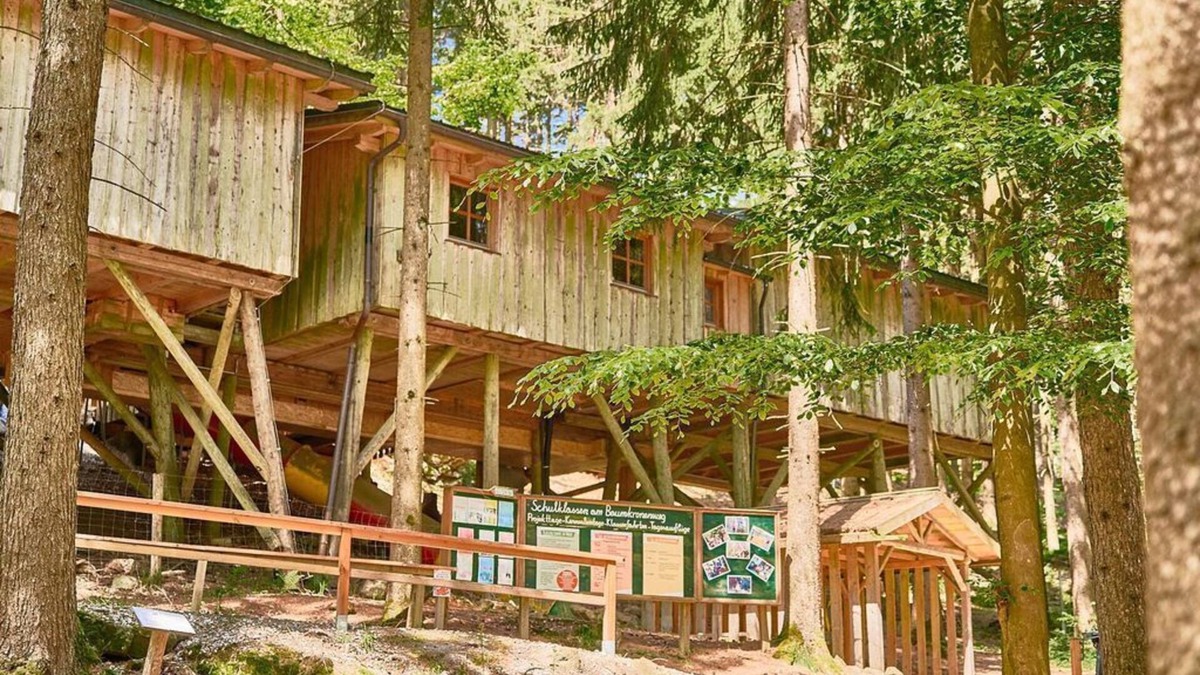 Kopfing im Innkreis House | Waldzimmer - Baumhotel