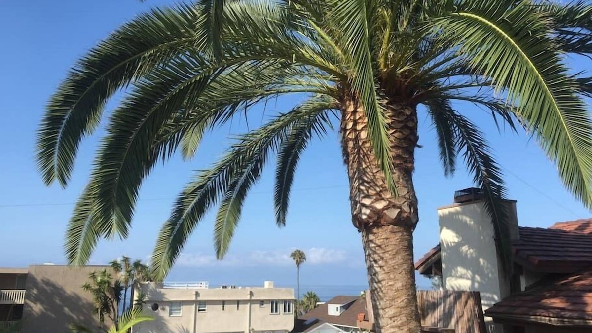 Laguna Beach House | Walk everywhere; Beach 300 steps