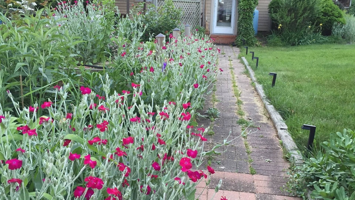 Southold House | WALK TO BEACH - Founders Landing, Southold - restaurants, Village, Jitney, LIRR