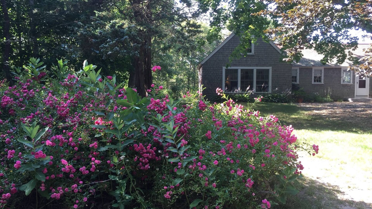 Eastham Apartment | Walk to Coast Guard Beach! Peaceful Vacation