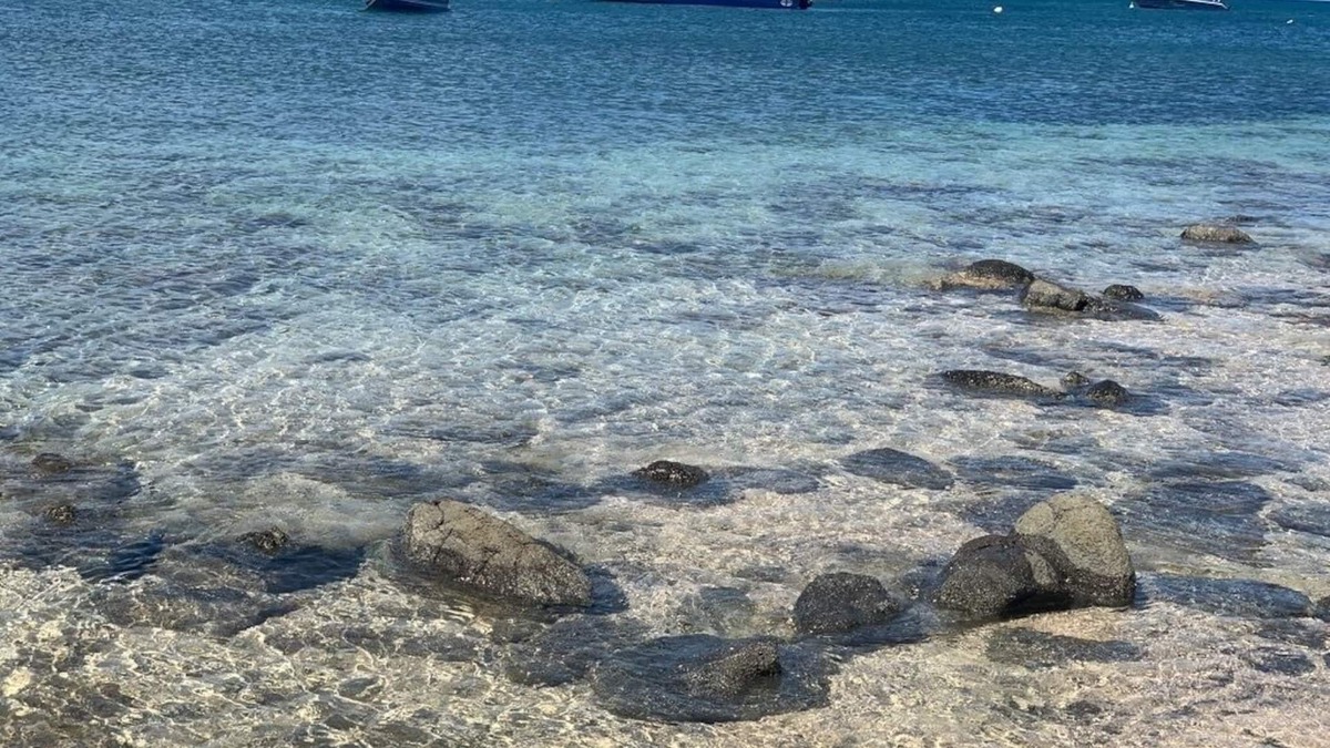 Oualie Bay Apartment | Walk to the beautiful Oualie Beach from this Beach Front Apartment