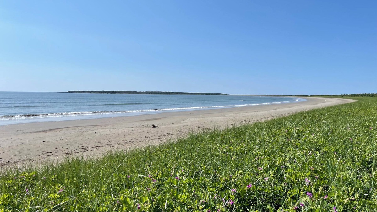 St. Peters House | Walking distance to the ocean and all amenities!