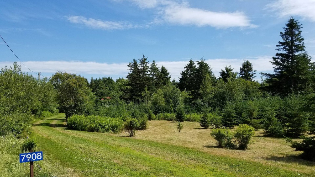 Maximeville Cottage | Walking distance to beach, licensed, very clean, safe & secluded