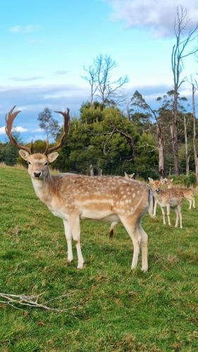 Rawson House | Wally's Edge 20acre Farm Stay