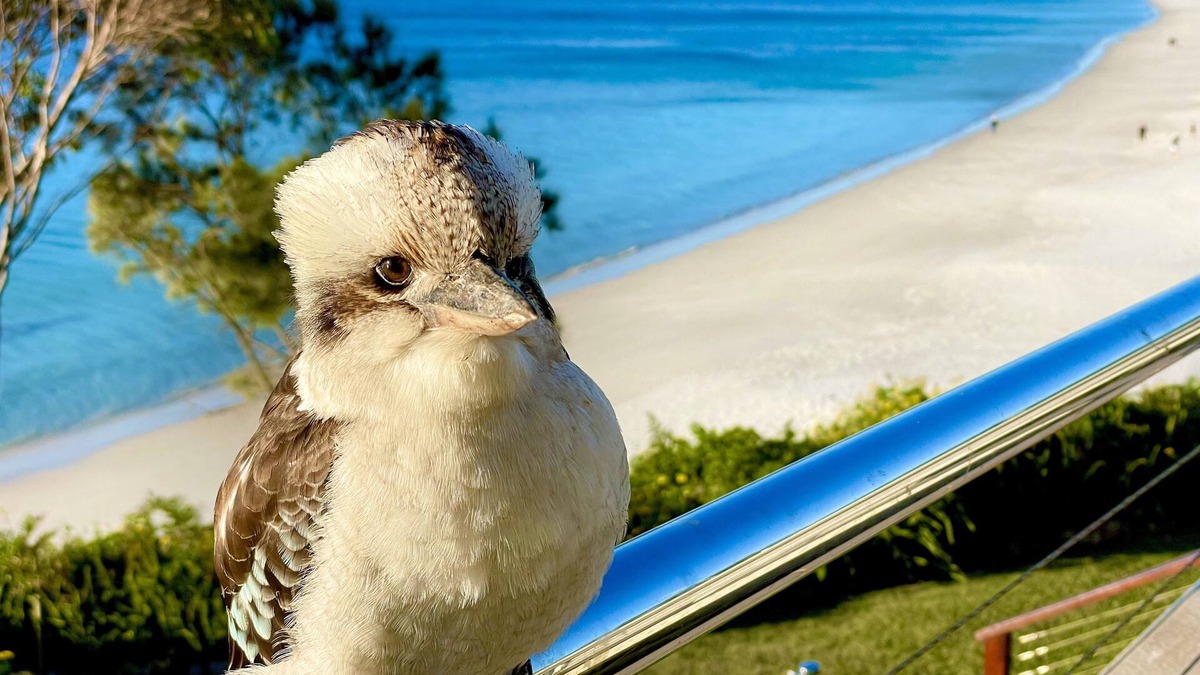 Hyams Beach Apartment | Walters Holiday Flats @ Hyams Beach (Flat 3) - Book 7 nights pay for only 6*