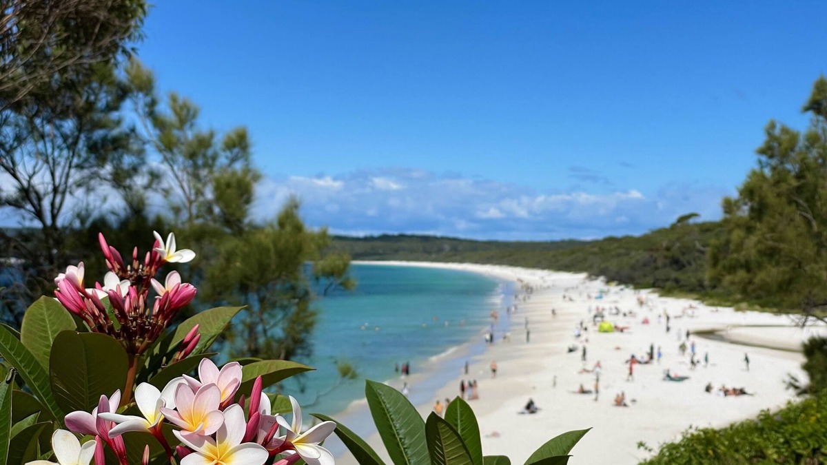 Hyams Beach Apartment | Walters Holiday Flats @ Hyams Beach (Flat 2) - Book 7 nights pay for only 6*