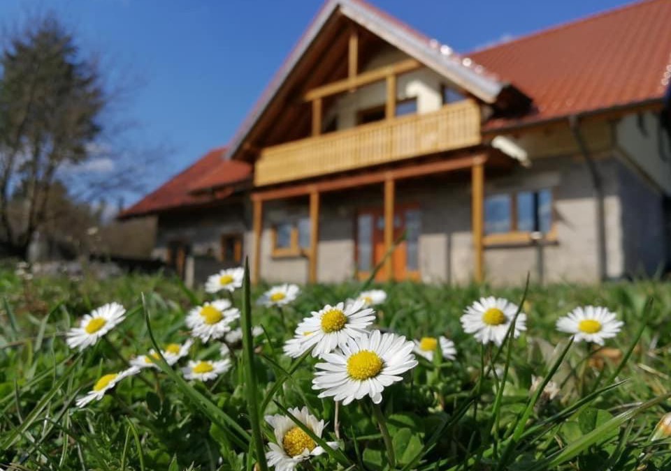 Kruft Apartment | Wandertraum Johann - FeWo Eifel