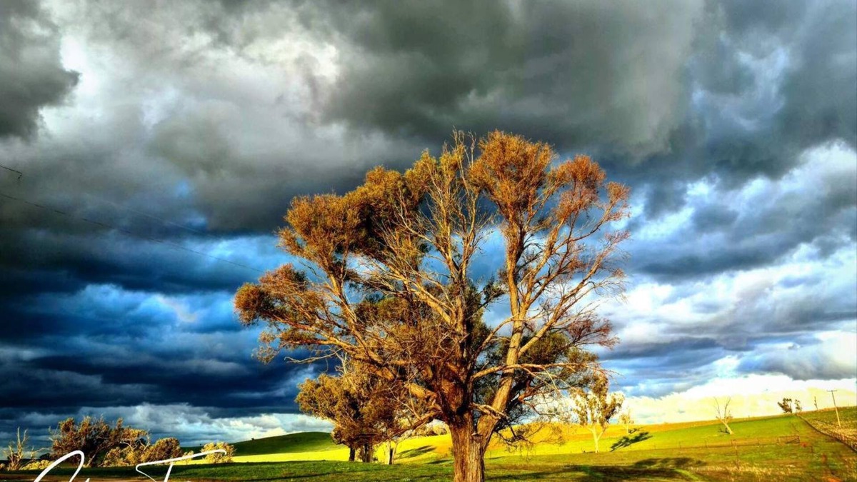 Boorowa Other | Wantana Cottage FarmStay