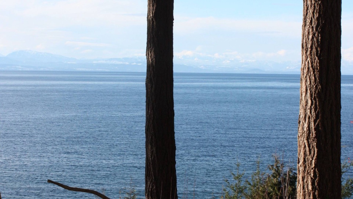 Roberts Creek Cottage | Warm, comfortable, cozy cottage with partial ocean view and beach access