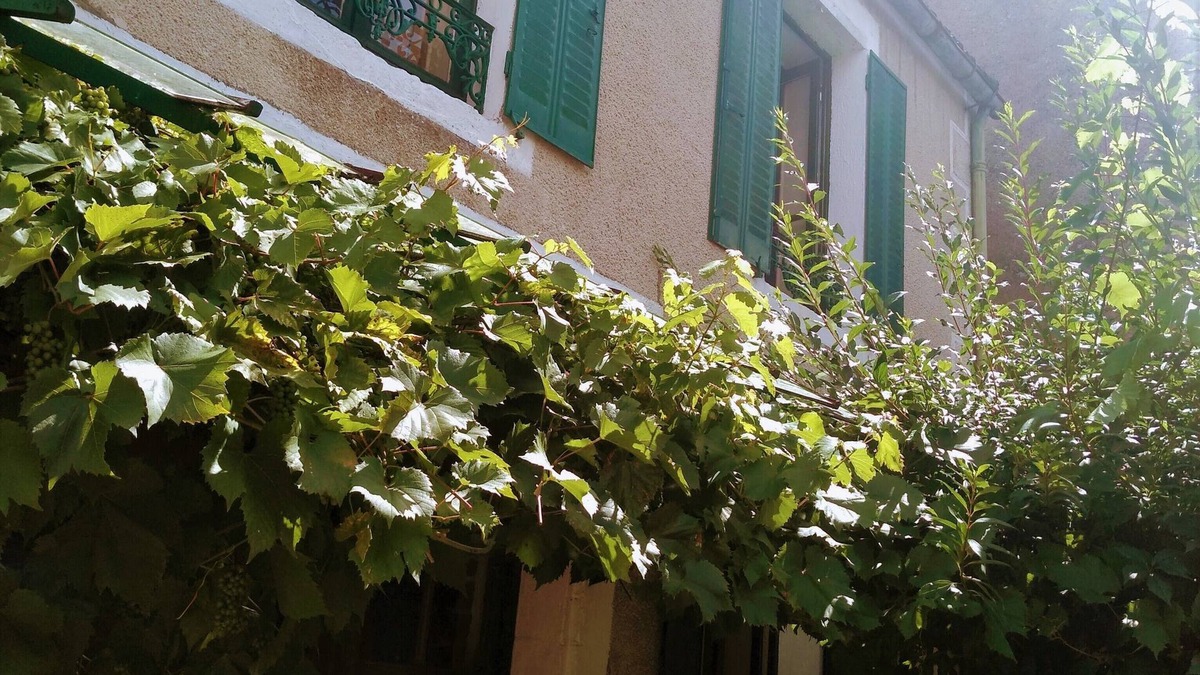 Chatel-Censoir House | Warm house, free wifi, private garden with flowers, 20 min. from Vézelay.