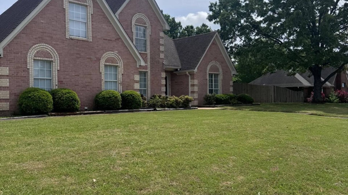Olive Branch House | Warmth & Charming, Cozy 4BR Brick Home with Private Pool in Olive Branch