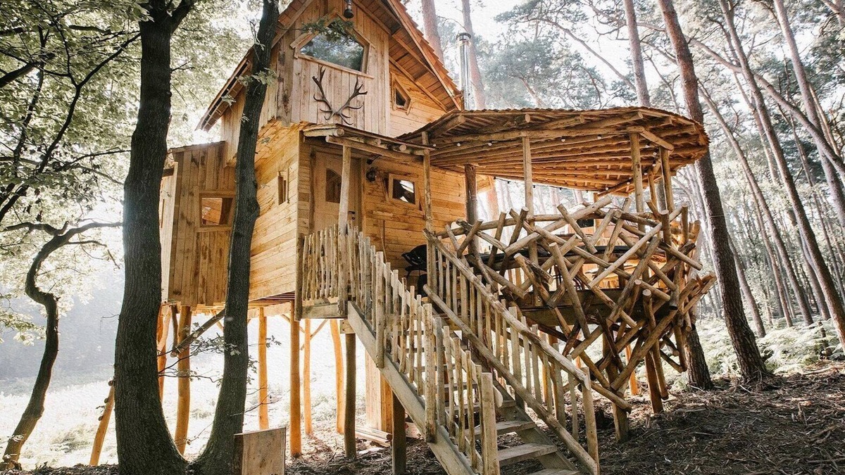 Maaseik House | Warredal's most beautiful treehouse
