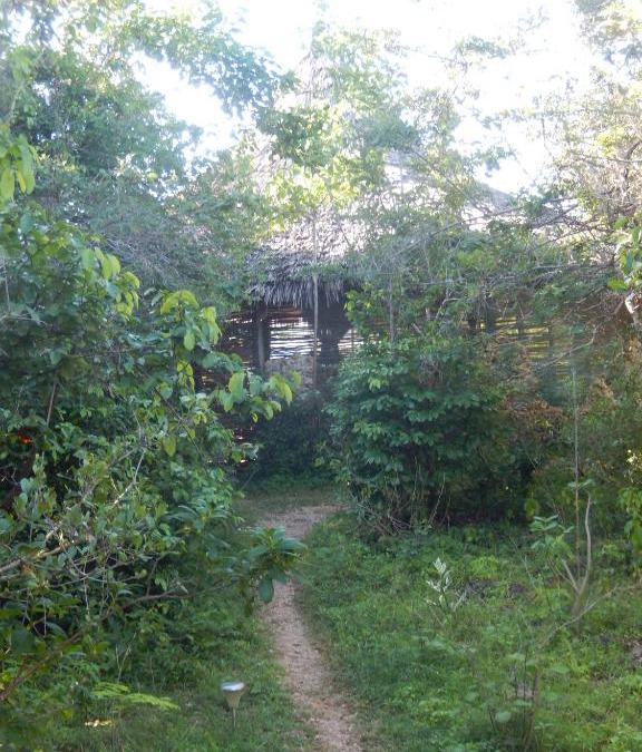 Wasini Island Cabin | Wasini Island Bandas