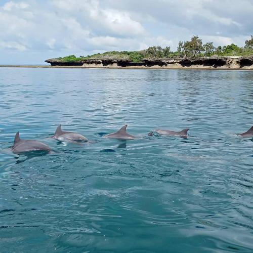 Wasini Island House | Wasini Raha Snorkeling and Diving