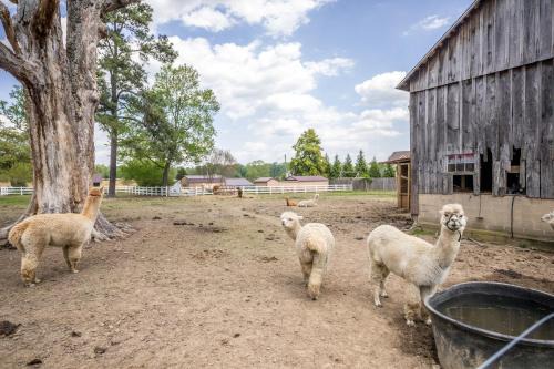 Bel Air Apartment | Watch Deer from a Farm Cottage