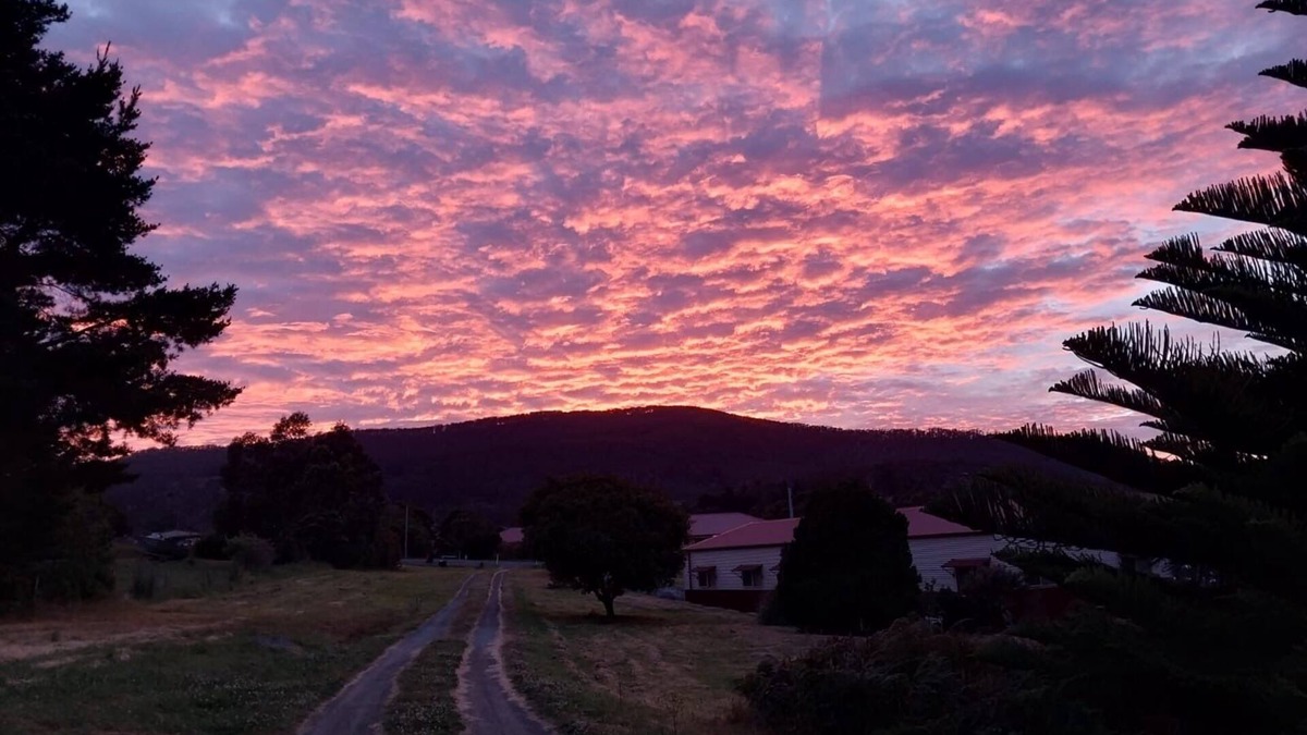 Nubeena Apartment | Watch the sunrise and set over the bay.nPeaceful, central & dog friendly.