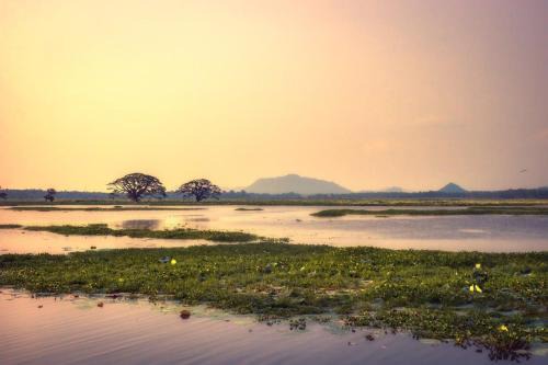 Debarawewa House | Water Bird's Resort & Yala Safari