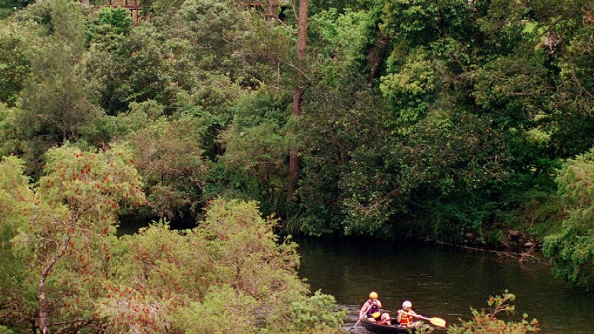 Bindera House | Water Gums Retreat, Barrington River, Barrington Tops area, perfect for groups