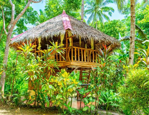 Loboc Bed & Breakfast | Water to Forest Ecolodge