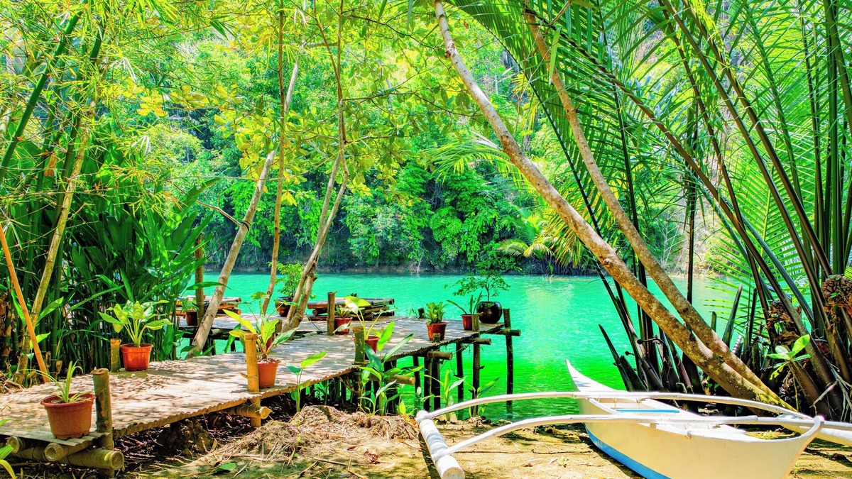 Loboc Hotel | Water To Forest Ecolodge