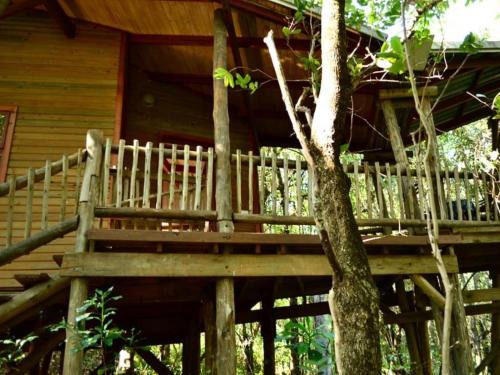Tzaneen Apartment | Waterbessiebos cottage