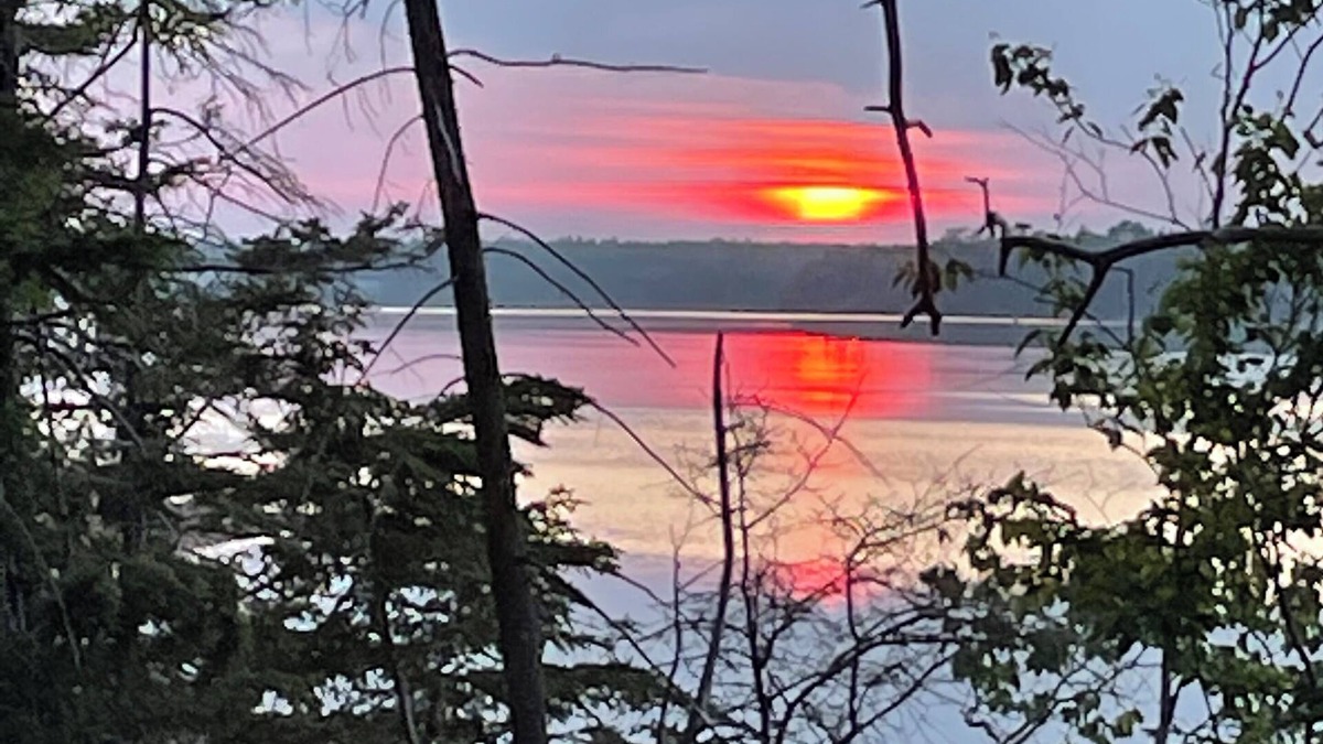 Cardigan Cottage | Waterfront - AC beach steps away Kayaking Paddle Boat Canoeing Bbq Gazebo Hamock