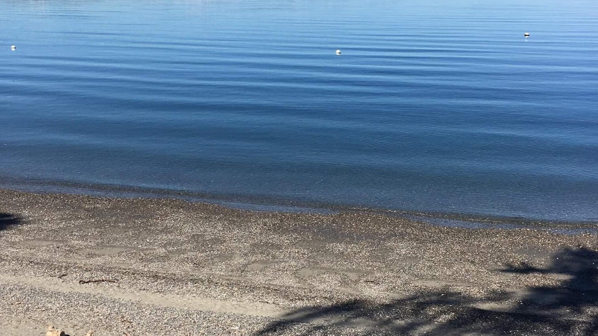 Three Tree Point Apartment | Waterfront Beach Apartment 15 Min From Seattle