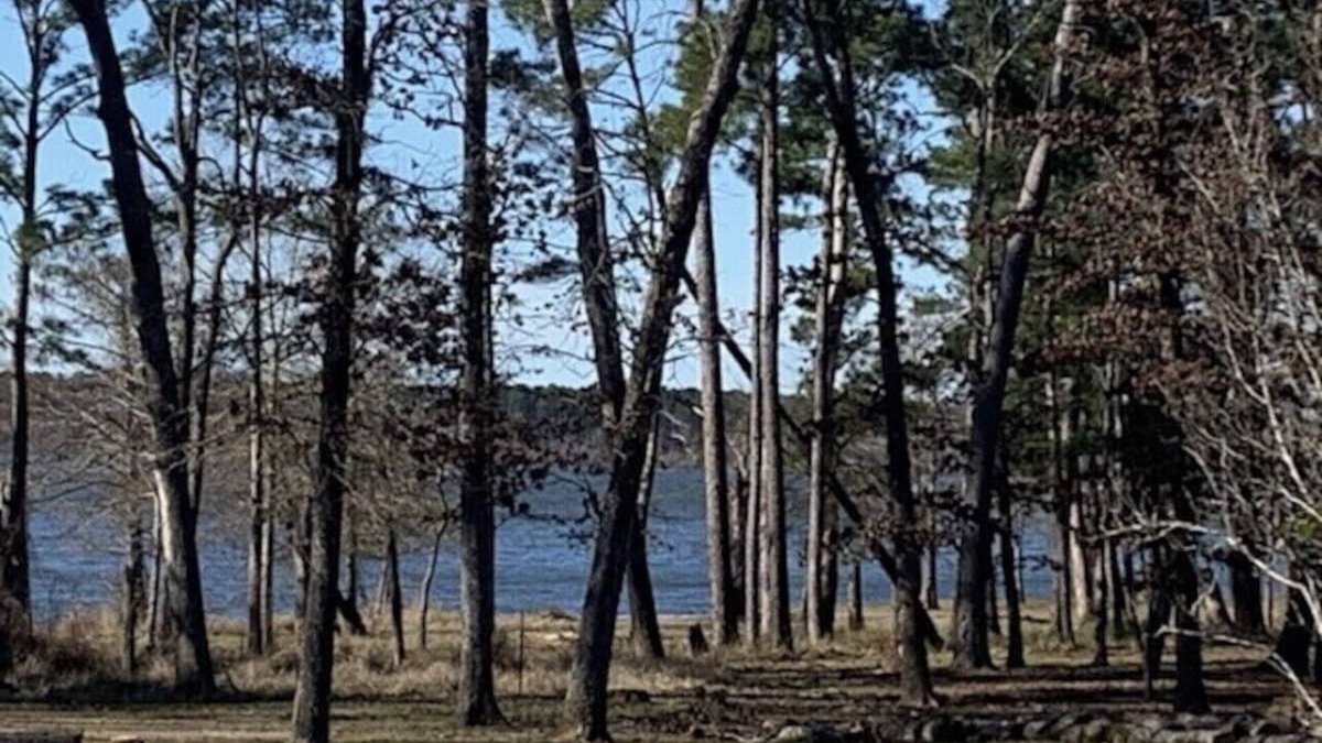 Zavalla House | Waterfront beauty on Lake Sam Rayburn!