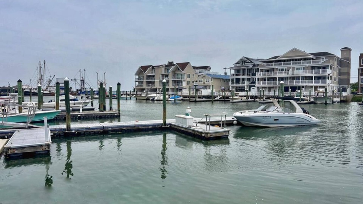 Cape May House | Waterfront Condo - 1520 Yacht Ave Unit 203 - On the Harbor w/a Pool!