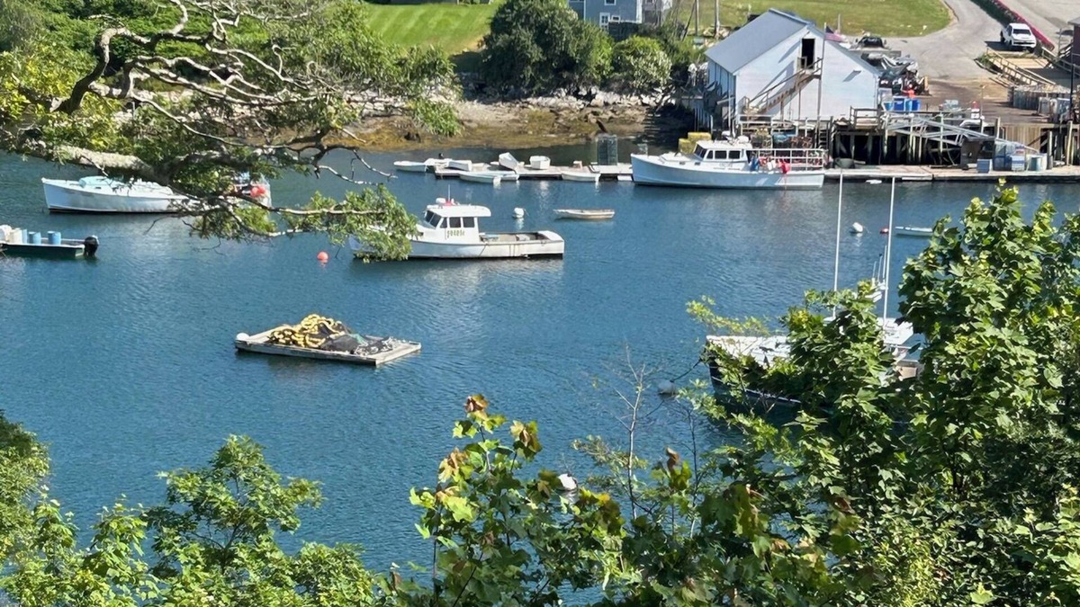 New Harbor Cottage | Waterfront Cottage on Working Fisherman's Harbor with Shared Dock and Float