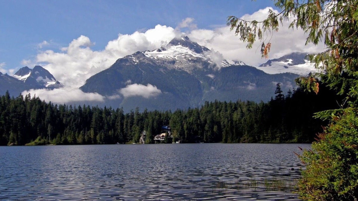 Woodfibre Cottage | Waterfront Cottage on acreage - 1hr from Vancouver - 7 N Min-Levette Lake
