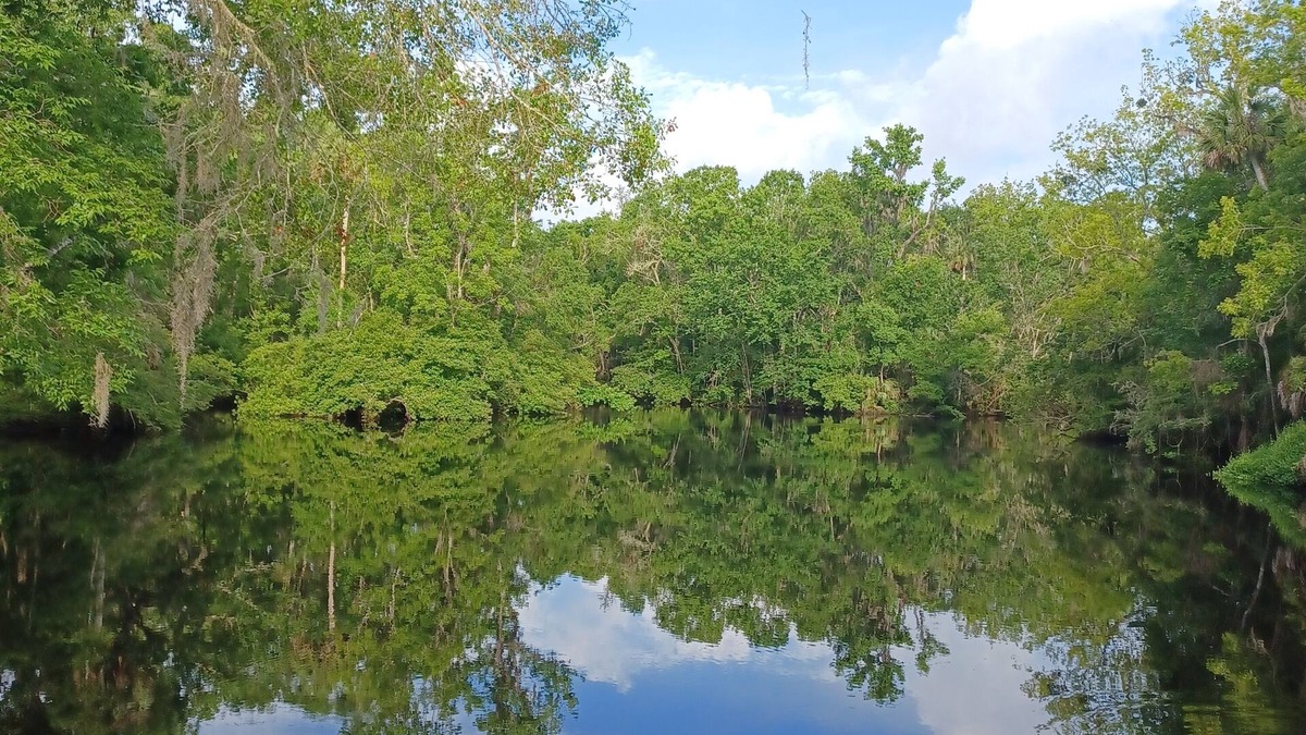 Perry Cottage | Waterfront Cottage on the scenic Aucilla River.