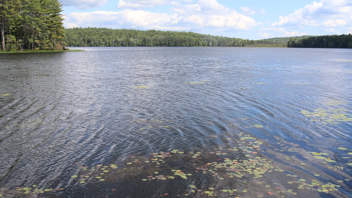 Fitzwilliam Cottage | Waterfront Cottage on Scenic Sportsman Pond