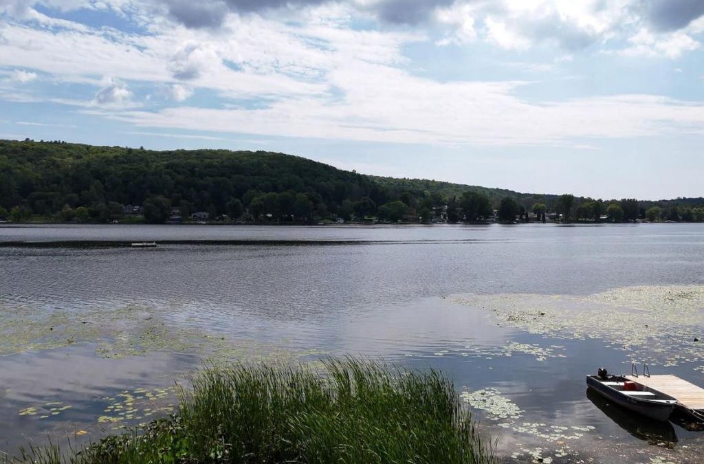 Quinte West House | Waterfront Cottage with Swim Spa, BBQ, and Boat Dock