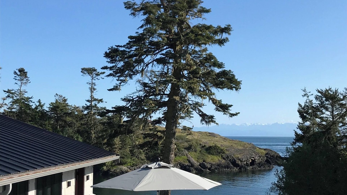 Friday Harbor Cabin | Waterfront Cove, West Side Of San Juan Island, Sandy Beach, Prime Orca location
