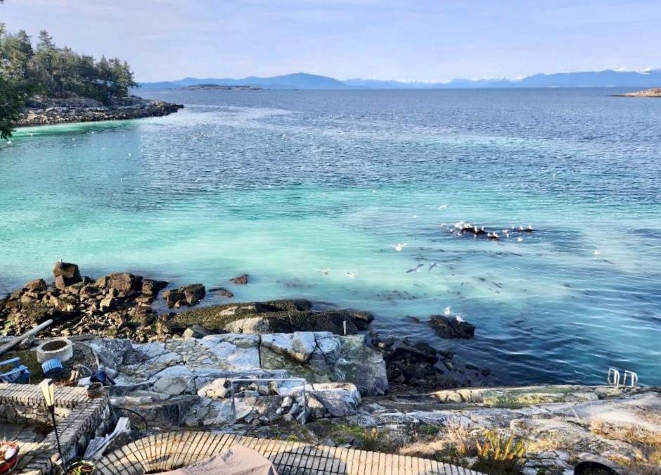 Regional District of Nanaimo House | Waterfront deluxe private room