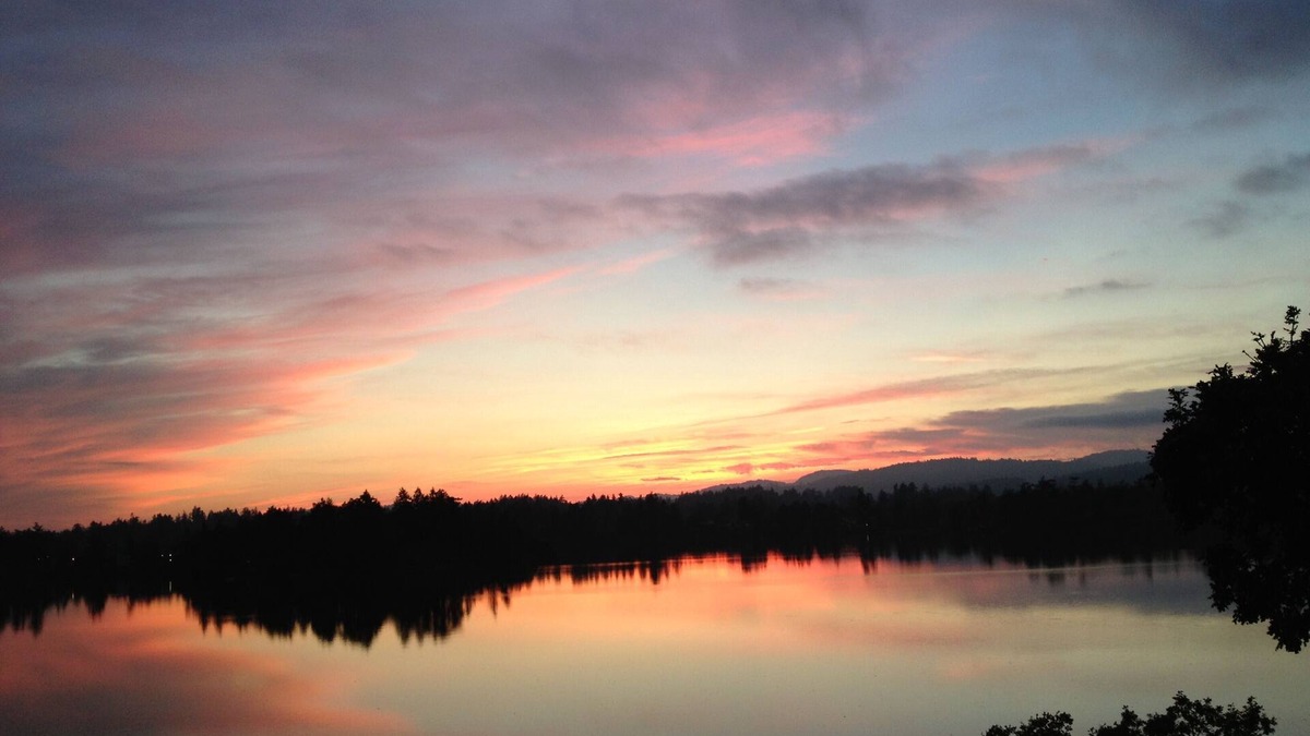 Saanich House | Waterfront eco home. Snowbird Special rates Jan1- Mar30