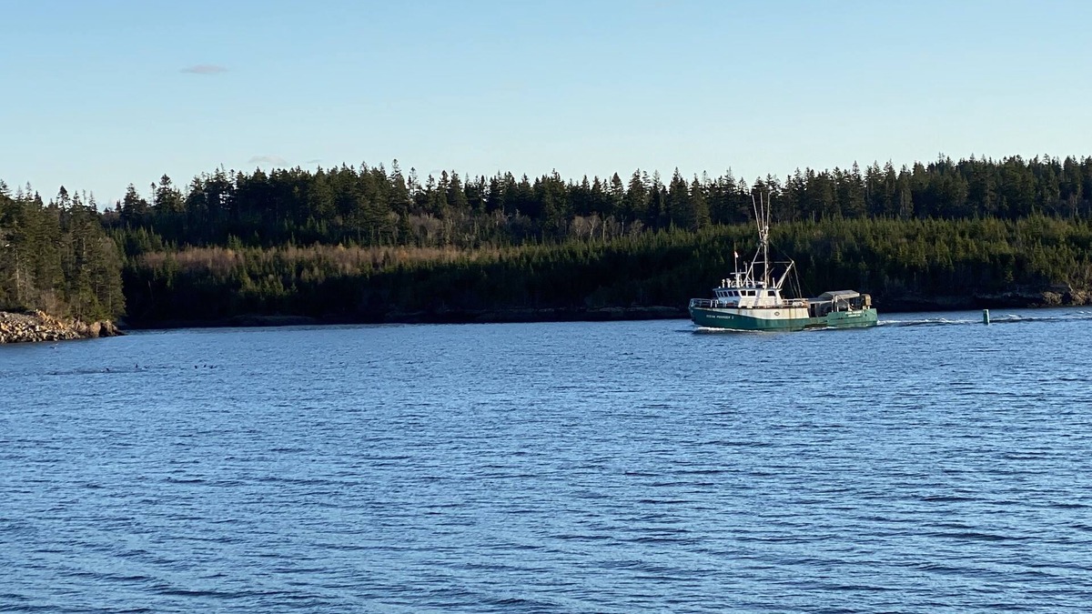 Blacks Harbour House | Waterfront House, Starlink internet, good parking lot, 2 bedrooms